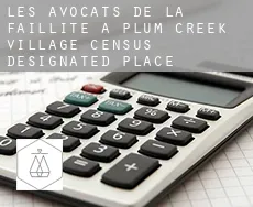 Les avocats de la faillite à  Plum Creek Village