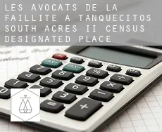 Les avocats de la faillite à  Tanquecitos South Acres II