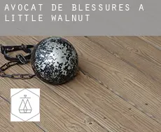 Avocat de blessures à Little Walnut
