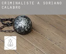 Criminaliste à  Soriano Calabro