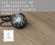 Les avocats de l'immigration à  Chapelle Sainte-Honorine