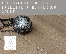 Les avocats de la faillite à  Bitterroot Court