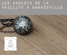 Les avocats de la faillite à  Shakesville