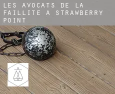 Les avocats de la faillite à Strawberry Point