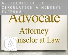 Accidents de la circulation à  Monkeys Eyebrow