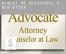 Avocat de blessures à Big Otter