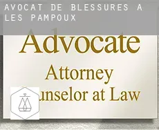 Avocat de blessures à Les Pampoux