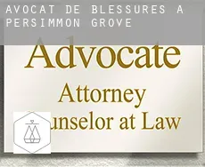 Avocat de blessures à  Persimmon Grove