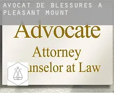 Avocat de blessures à  Pleasant Mount