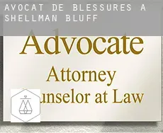 Avocat de blessures à Shellman Bluff