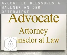 Avocat de blessures à  Wallner an der Osterwiese