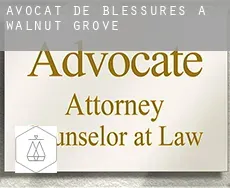 Avocat de blessures à  Walnut Grove