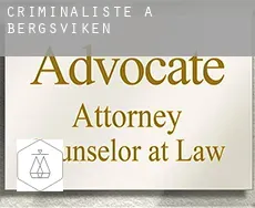 Criminaliste à Bergsviken