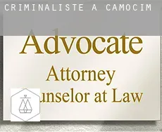 Criminaliste à  Camocim