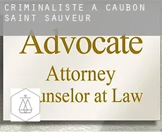 Criminaliste à Caubon-Saint-Sauveur