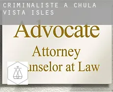 Criminaliste à Chula Vista Isles