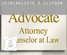Criminaliste à  Clifden