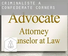 Criminaliste à  Confederate Corners