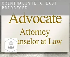 Criminaliste à East Bridgford