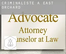 Criminaliste à  East Orchard