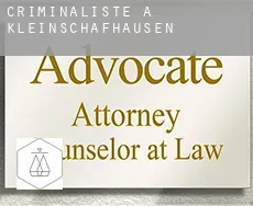 Criminaliste à Kleinschafhausen
