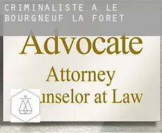 Criminaliste à Le Bourgneuf-la-Forêt
