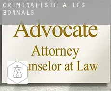 Criminaliste à  Les Bonnals