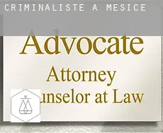 Criminaliste à  Měšice