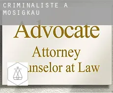 Criminaliste à  Mosigkau