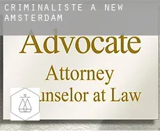 Criminaliste à  New Amsterdam
