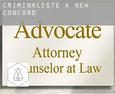 Criminaliste à  New Concord