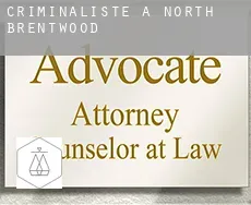 Criminaliste à  North Brentwood