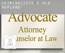 Criminaliste à  Old Hopland