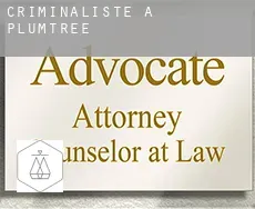 Criminaliste à Plumtree
