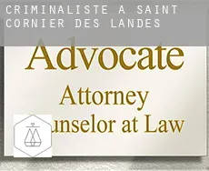 Criminaliste à  Saint-Cornier-des-Landes