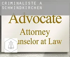 Criminaliste à  Schwindkirchen