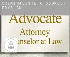 Criminaliste à Sûdwest Fryslân