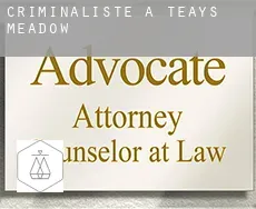 Criminaliste à  Teays Meadow