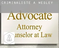 Criminaliste à Wesley
