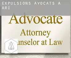 Expulsions avocats à  Ari