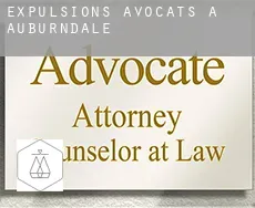 Expulsions avocats à Auburndale