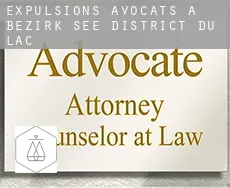 Expulsions avocats à  Bezirk See/District du Lac