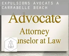Expulsions avocats à  Carrabelle Beach