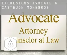 Expulsions avocats à  Castejón de Monegros