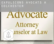 Expulsions avocats à  Colchester
