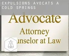 Expulsions avocats à  Cold Springs
