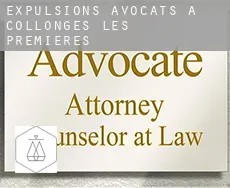 Expulsions avocats à  Collonges-lès-Premières