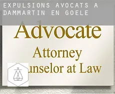Expulsions avocats à  Dammartin-en-Goële