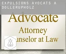 Expulsions avocats à Dollerupholz