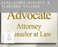 Expulsions avocats à  Flamingo Village
